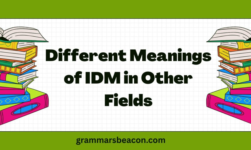 Different Meanings of IDM in Other Fields