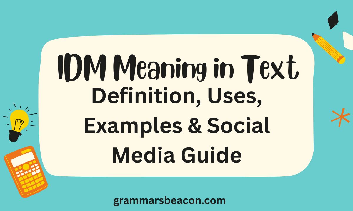 IDM Meaning in Text
