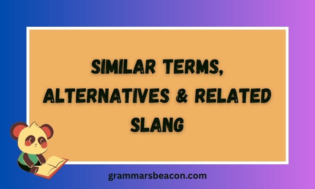 Similar Terms, Alternatives & Related Slang