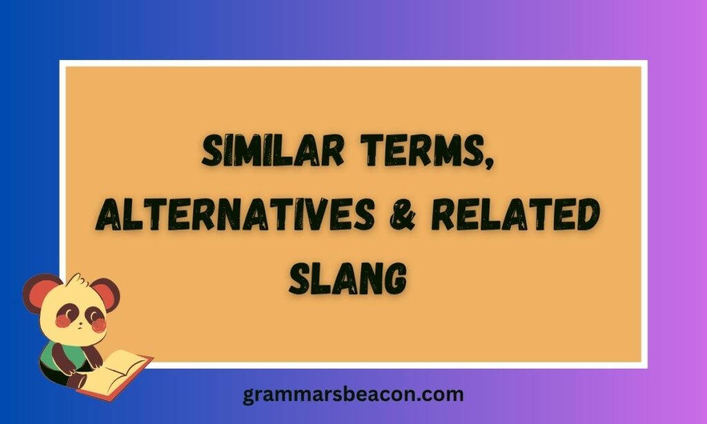 Similar Terms, Alternatives & Related Slang
