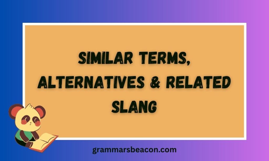 Similar Terms, Alternatives & Related Slang