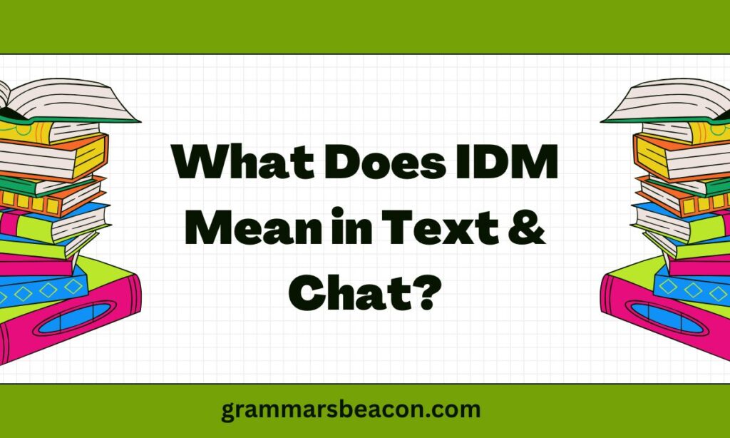 What Does IDM Mean in Text & Chat