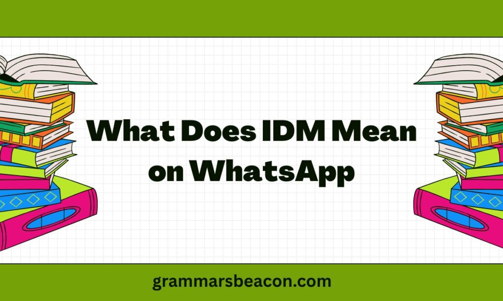 What Does IDM Mean on WhatsApp