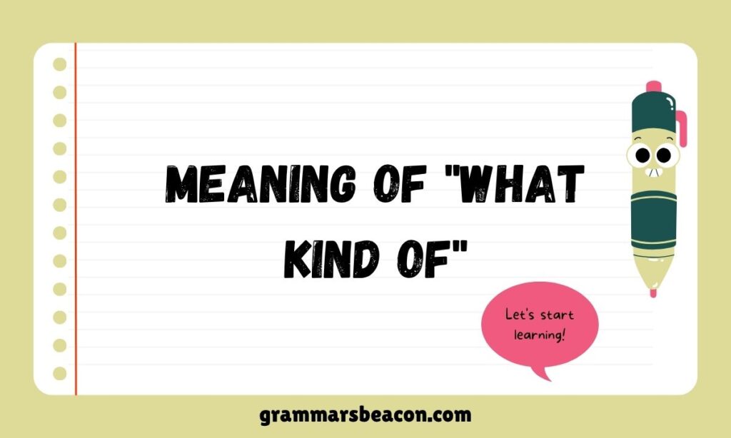 Meaning of "What Kind of"