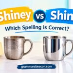 Shiney vs Shiny: Which Spelling Is Correct?