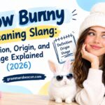 Snow Bunny Meaning Slang